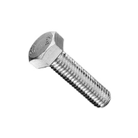 Hex Bolt